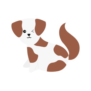 Beyaz renkte izole edilmiş Şirin Köpek Resimleri