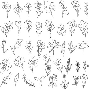Çiçek dalı ve logo ya da dövme için minimalist yapraklar. El yapımı düğün otları, zarif kır çiçekleri. Baskı, kapak veya duvar kağıdı için en küçük çizgi çizimi