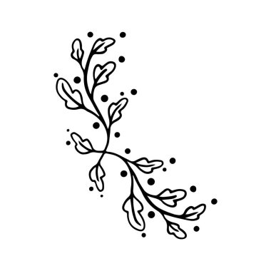 Beyaz bir arka planda el çizimi çerçeve setleri. Köşe Sınırı Eklement. Çiçek ve şifalı bitkilerin eskiz öğeleri pankart tasarımı için süs eşyaları. Sınır koleksiyonu. Oklar. İzole ayrıştırıcılar. Eski sınır.