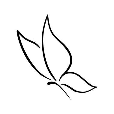 Beyaz arka planda kelebek ikonu, çizgi tarzı, vektör illüstrasyonu. Kelebek dövmesi, Kelebek Çizgisi İllüstrasyonu. 