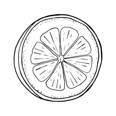 Limon suyu, nane şekeri, yaz el karalama çizgisi, çizim çizimi, çizim vektörü illüstrasyonu.