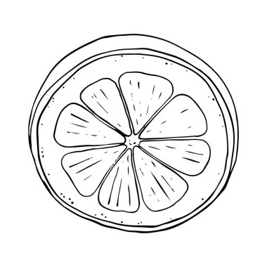 Limon suyu, nane şekeri, yaz el karalama çizgisi, çizim çizimi, çizim vektörü illüstrasyonu.