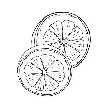 Limon suyu, nane şekeri, yaz el karalama çizgisi, çizim çizimi, çizim vektörü illüstrasyonu.