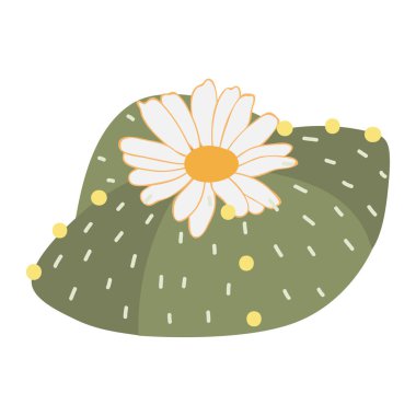 Düz kaktüs stili. Kaktüsler beyaz arkaplanda izole edilmiş. Egzotik dekoratif ev bitkileri. Ev dekorasyonu ve botanik tasarım için düz veya çizgi film ikonu vektör çizimi.