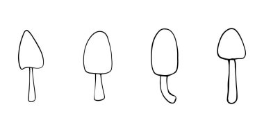 Sonbahar orman bitkilerinin tasviri. Yıldızlı grafiksel klasik mantarlar. Botanik çizimler. Cadılar Bayramı için cadı mantarı. Uzay sihirli mantarlı grafiksel karalama çizimi.