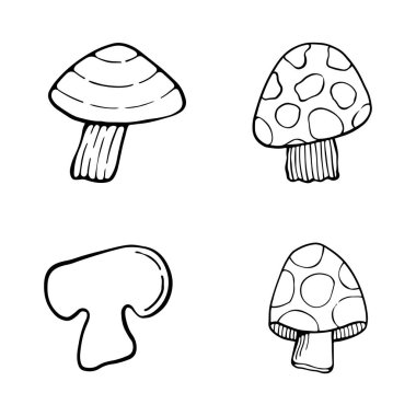Sonbahar orman bitkilerinin tasviri. Yıldızlı grafiksel klasik mantarlar. Botanik çizimler. Cadılar Bayramı için cadı mantarı. Uzay sihirli mantarlı grafiksel karalama çizimi.