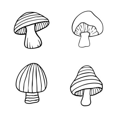 Sonbahar orman bitkilerinin tasviri. Yıldızlı grafiksel klasik mantarlar. Botanik çizimler. Cadılar Bayramı için cadı mantarı. Uzay sihirli mantarlı grafiksel karalama çizimi.