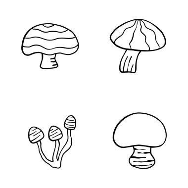 Sonbahar orman bitkilerinin tasviri. Yıldızlı grafiksel klasik mantarlar. Botanik çizimler. Cadılar Bayramı için cadı mantarı. Uzay sihirli mantarlı grafiksel karalama çizimi.