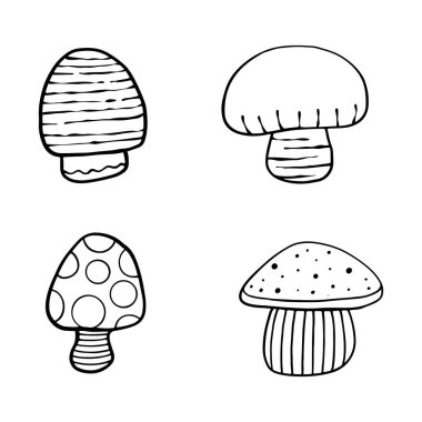 Sonbahar orman bitkilerinin tasviri. Yıldızlı grafiksel klasik mantarlar. Botanik çizimler. Cadılar Bayramı için cadı mantarı. Uzay sihirli mantarlı grafiksel karalama çizimi.