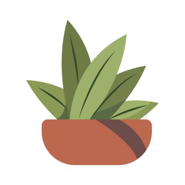 Beyaz arka planda çiçek saksıları içinde sevimli bitkiler. Saksı Bitkisi İllüstrasyonu.