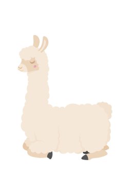 Tatlı çizgi film lama. Beyaz arkaplanda vektör çizimi izole edildi. Lama karikatür tasarımı, Hayvanat bahçesi sevimli hayat karakteri çocukluk ve sevimli temalı Vektör illüstrasyonu