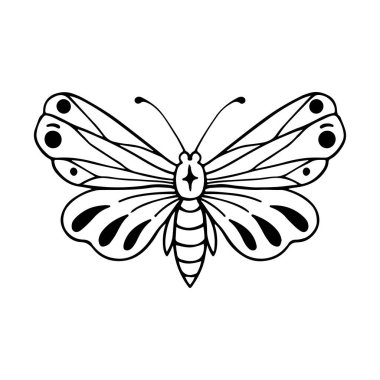 Göksel Kelebek Çizgisi Sanatı