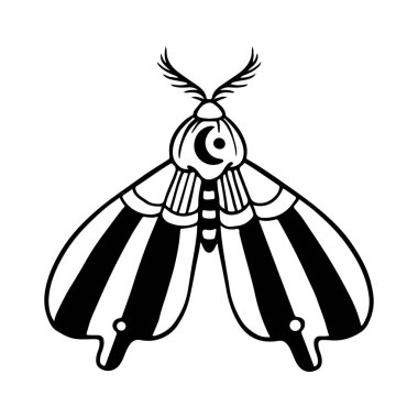 Göksel Kelebek Çizgisi Sanatı