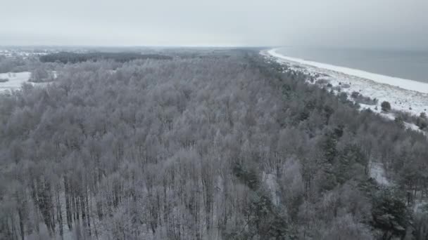 Aerial Shot Flying Snow Covered Forest Next Calm Sea — Stockvideo
