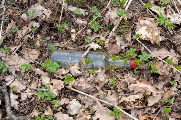 森林里的透明空玻璃瓶 红帽盖在地上 — 图库照片