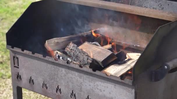 Bbq Grill Flaming Firewood — Stock Video