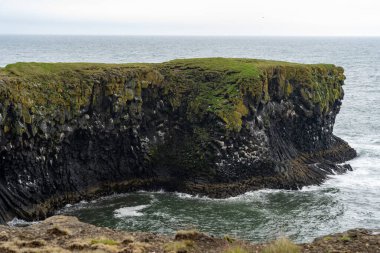 Reykholt, İzlanda - 06.24.2023: İzlanda atlarına binerken bira bardaklarını tokuşturan iki atlı. İzlanda at şovu. Bira parası.