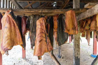 Mayalanmış köpekbalığı (Hakarl) İzlanda 'da kurumak üzere sallanıyor