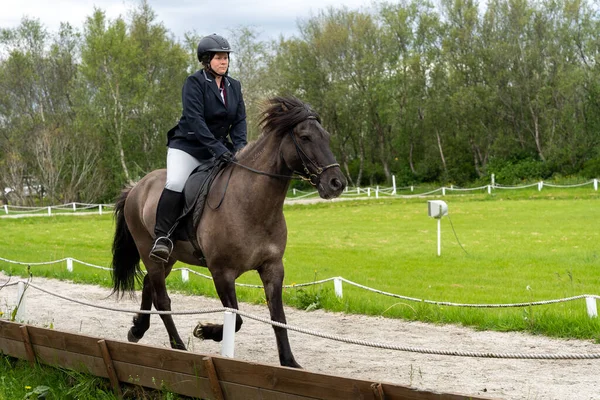 stock image Reykholt, Iceland - 06.24.2023: Female horse rider riding black icelandic horse. Icelandic horse show