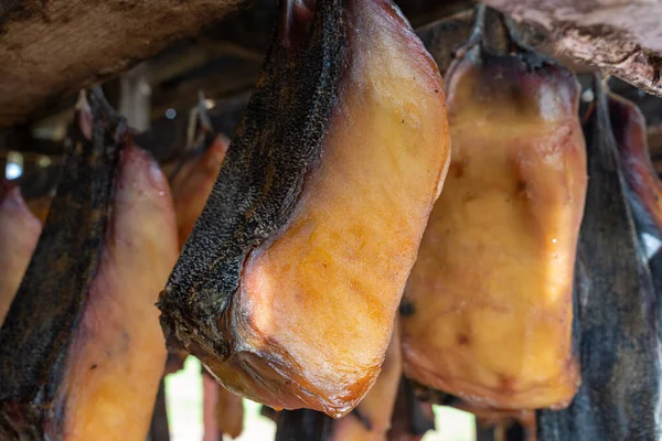 Mayalanmış köpekbalığı (Hakarl) İzlanda 'da kurumak üzere sallanıyor