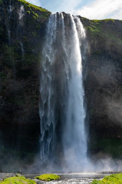 Seljalandsfoss Şelalesi Yazın İzlanda 'da