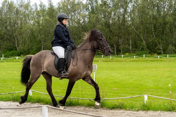 Reykholt Ijsland 2023 Vrouwelijke Ruiter Zwart Ijslands Paard Ijslandse Paardenshow — Stockfoto