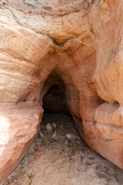 Veczemju Kliniği (Veczemju uçurumları) Tuja, Letonya yakınlarındaki Baltık Denizi 'nde. Kum taşı kayalıkları olan güzel deniz kıyısı