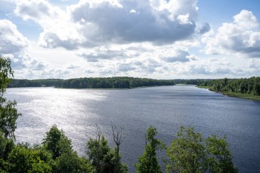 Yazın yeşil ormanla çevrili göl manzarası