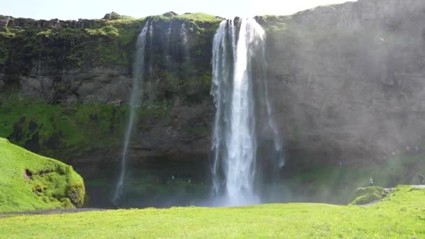 Zpomalený Záběr Seljalandsfoss Vodopád Islandu Létě — Stock video