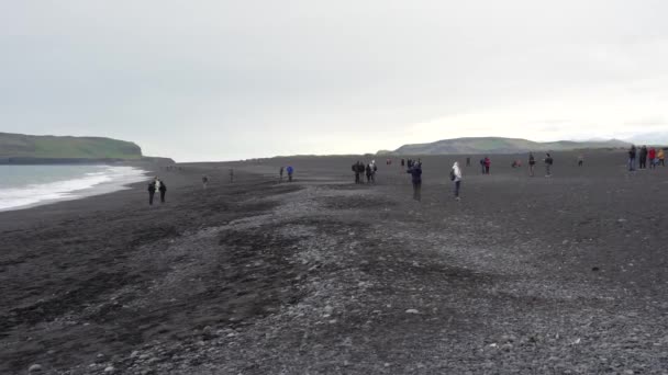 Пляж Рейхазара Блэк Бич Исландия 2023 Люди Гуляющие Пляже Рейхазара — стоковое видео