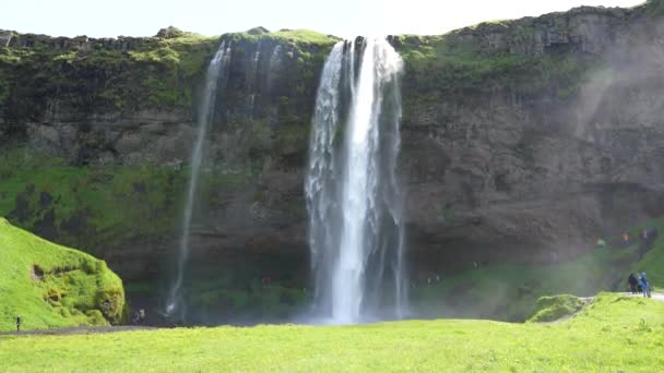 夏天在冰岛的塞尔亚兰多斯瀑布 — 图库视频影像