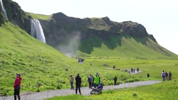 Seljalandsfoss Island 2023 Touristen Gehen Sommer Auf Einem Pfad Neben — Stockvideo