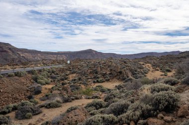 manzara Teide Milli Parkı, Tenerife, Kanarya Adaları, İspanya