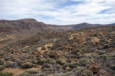 manzara Teide Milli Parkı, Tenerife, Kanarya Adaları, İspanya