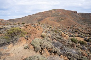 manzara Teide Milli Parkı, Tenerife, Kanarya Adaları, İspanya