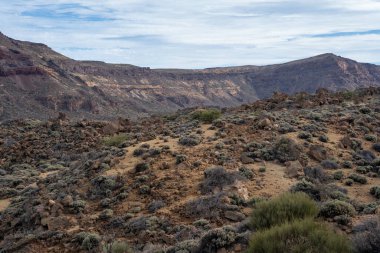 manzara Teide Milli Parkı, Tenerife, Kanarya Adaları, İspanya