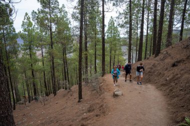 Gran Canaria, İspanya - 05.12.2023: İnsanlar İspanya 'nın Gran Canaria adasındaki Roque Nublo volkanik kayasına doğru yürüyüş yapıyorlar