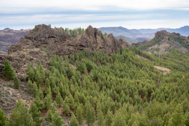 İspanya 'nın Gran Canaria adasındaki Roque Nublo volkanik kayasından manzara