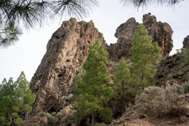 İspanya 'nın Gran Kanarya adasındaki Roque Nublo' daki volkanik kayalıklar
