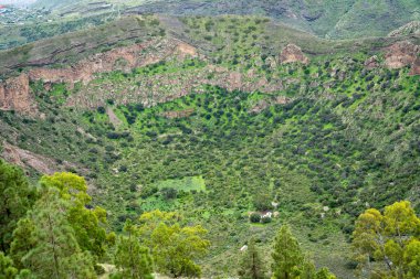 İspanya, Gran Canaria 'daki Caldera de Bandama volkanik krateri