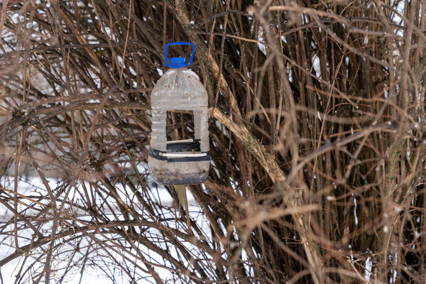 Homemade bird feeder from plastic bottle