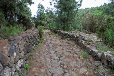 Icod de los Vinos, Tenerife, İspanya 'da Cueva del Viento' ya giden Rocky yürüyüş yolu.