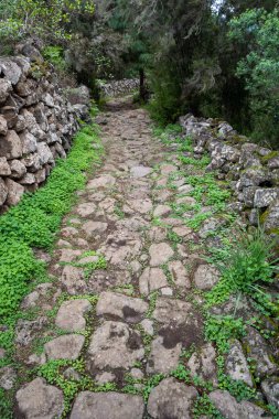 Icod de los Vinos, Tenerife, İspanya 'da Cueva del Viento' ya giden Rocky yürüyüş yolu.