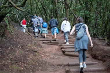 Tenerife, İspanya - 03.12.2023: Sendero Bosque de los Enigmas yürüyüş parkında turistler