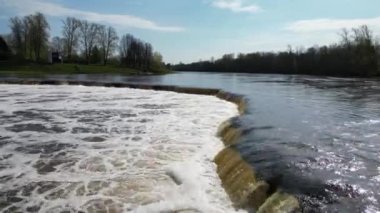 Venta Nehri, Kuldiga, Letonya ve Vimba (Vimba vimba) üzerindeki şelale boyunca uçan balıklar