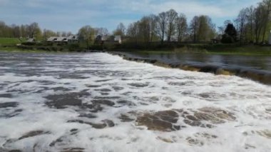 Venta Nehri, Kuldiga, Letonya ve Vimba (Vimba vimba) üzerindeki şelale boyunca uçan balıklar