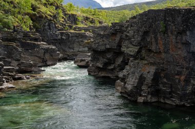 Abisko river canyon in Abisko National Park, Sweden clipart