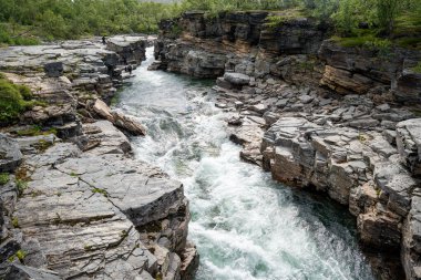 Abisko, İsveç - 07.08.2024: Abisko Nehri kanyonu Abisko Ulusal Parkı, İsveç