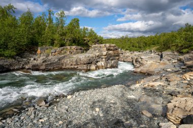 Abisko, Sweden - 07.08.2024: Abisko river canyon in Abisko National Park, Sweden clipart