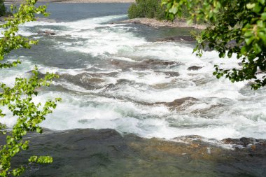 Yazın Norveç 'te Malselvfossen şelalesi
